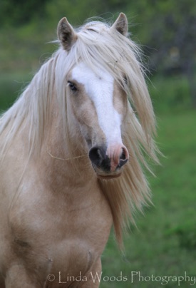 REDFORD 4-22-16 (1) REDFORD 4-22-16 (1)